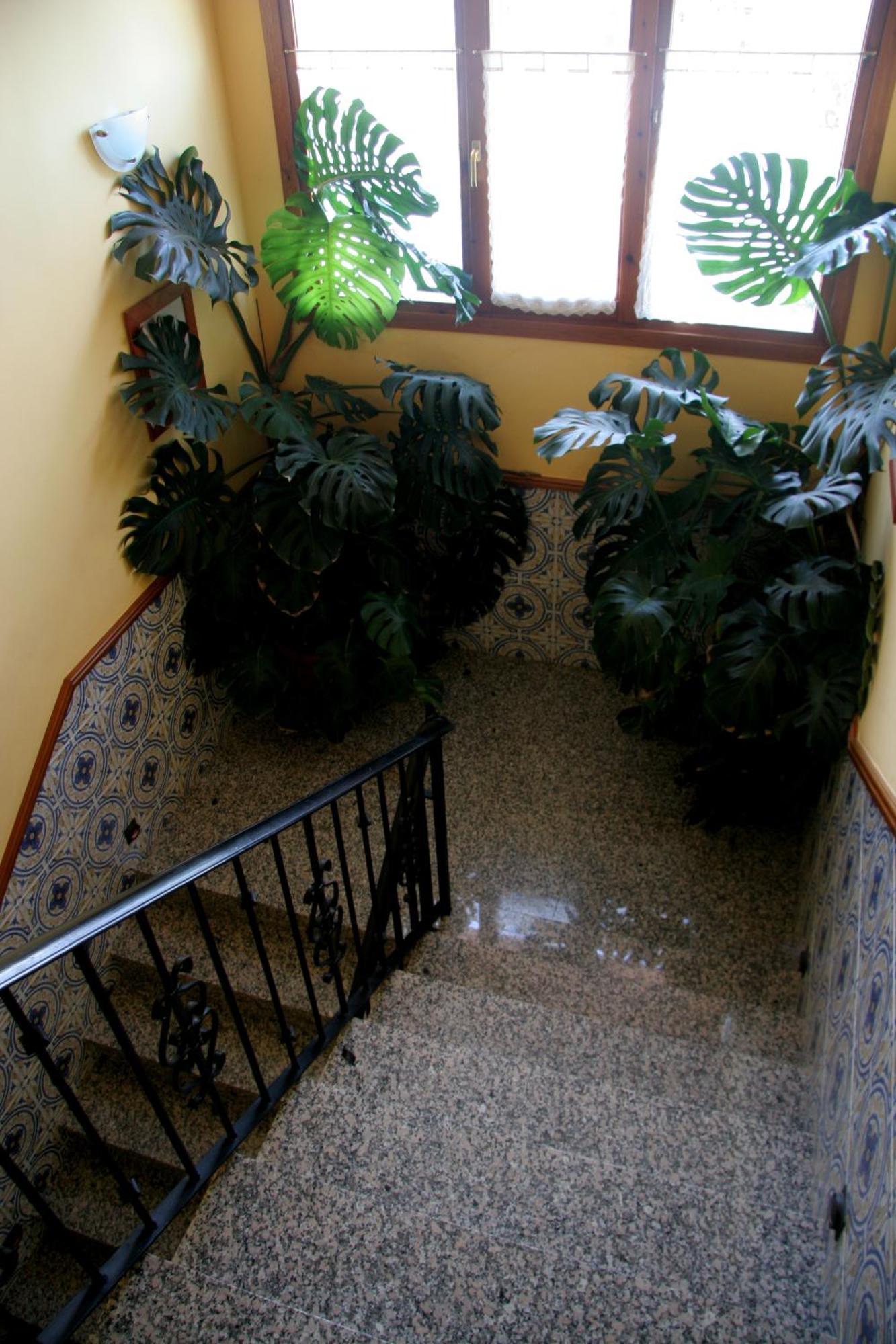 Hostal Casa Barranco Castejón del Puente المظهر الخارجي الصورة